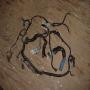 DSC06348.JPG