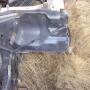 DSC04955.JPG