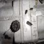DSC01837.JPG