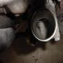 DSC02234.JPG