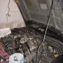 DSC00765.JPG