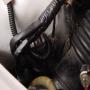 DSC01970.JPG