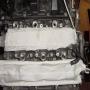 DSC00680.JPG
