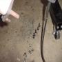 DSC01014.JPG