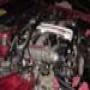 DSC00136.jpg