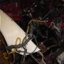 DSC02094.JPG