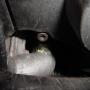 DSC03712.JPG
