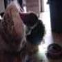 DSC00189.jpg