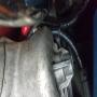 20191018_123256.jpg