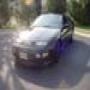 DSC00517.jpg