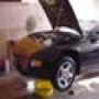 DSC00522.jpg