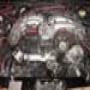 DSC00523.jpg