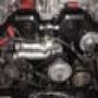 DSC00537.jpg