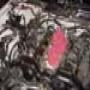 DSC00012.jpg