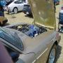 DSC02842.jpg