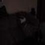 DSC01810.jpg
