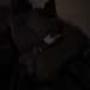 DSC01811.jpg