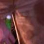 DSCN1390.jpg