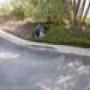 DSCN1419.jpg
