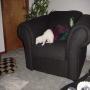 DSC00009.jpg