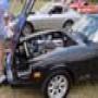 DSC01081.jpg