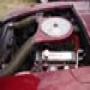 DSC01215.jpg