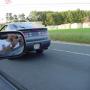 DSC00078.jpg