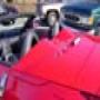 DSC00335.jpg