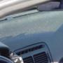 DSC00414.jpg