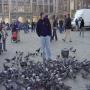 DSC00554.jpg