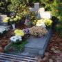 DSC00572.jpg