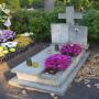 DSC00576.jpg