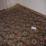 DSC00583.jpg