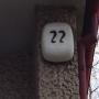 DSC00595.jpg