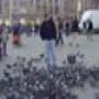 DSC00554.jpg