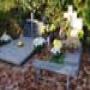 DSC00571.jpg