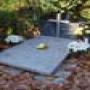 DSC00573.jpg