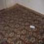 DSC00583.jpg