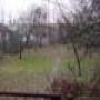 DSC00588.jpg