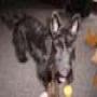 DSC01576.jpg