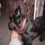 DSC01579.jpg