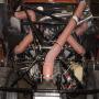 DSC01174.jpg