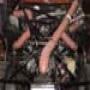DSC01174.jpg