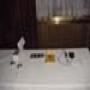 DSC00342.jpg
