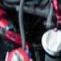 DSC01817.jpg