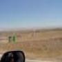 DSC00328.jpg