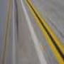 DSC01231.jpg
