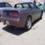 DSC01265.jpg