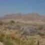 DSC01721.jpg