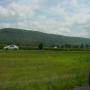 DSC00136.JPG